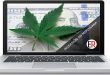 invertir en marihuana